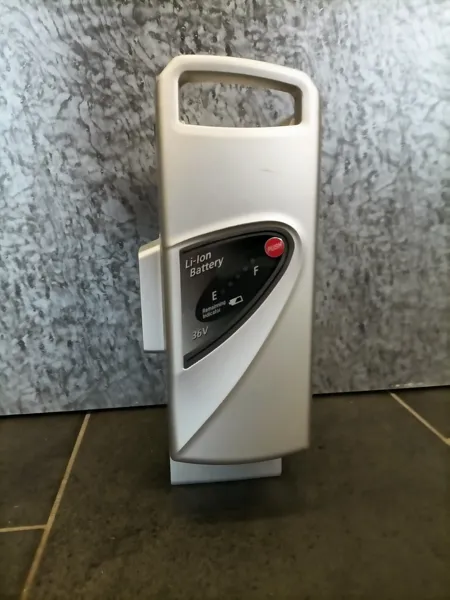 Flyer 36V (Deluxe), Neu aufbereiteter Akku, ab Lager Lieferbar !