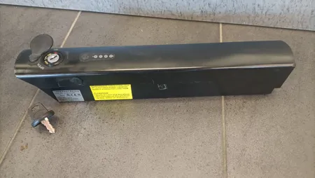 Saxonette, Smart, Protanium Akku 36V